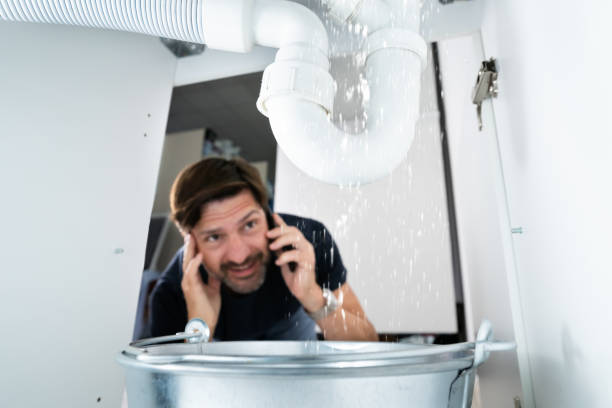 Best Sprinkler Systems  in Hlsboro, IL