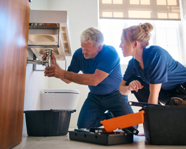 Best Clogged Drain Plumber  in Hlsboro, IL
